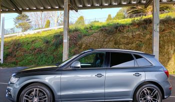 Audi SQ5 3.0 V6 TDI Quattro full