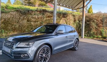 Audi SQ5 3.0 V6 TDI Quattro full