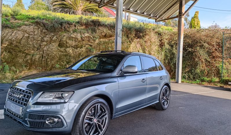 Audi SQ5 3.0 V6 TDI Quattro full