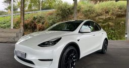 TESLA Model Y Gran Autonomia 4WD