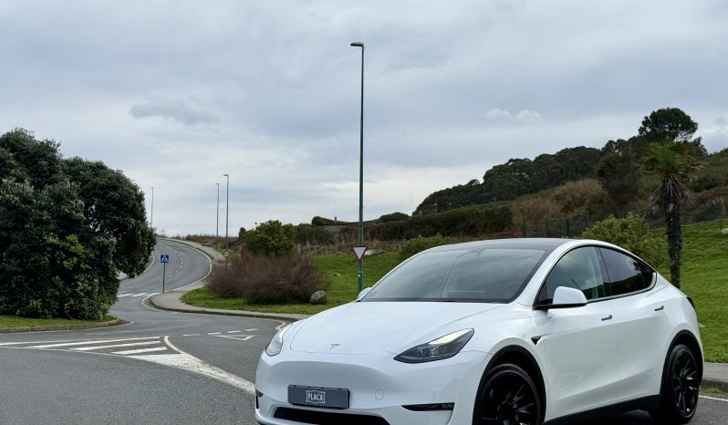 TESLA Model Y Gran Autonomia 4WD full