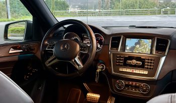 Mercedes-Benz M-Klasse ML 350 CDI BlueTEC full