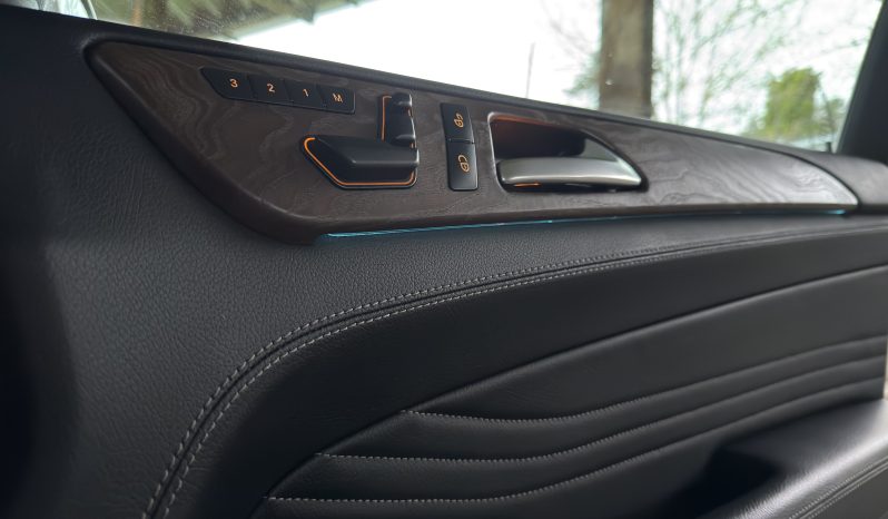 Mercedes-Benz M-Klasse ML 350 CDI BlueTEC full