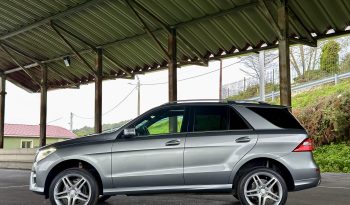 Mercedes-Benz M-Klasse ML 350 CDI BlueTEC full